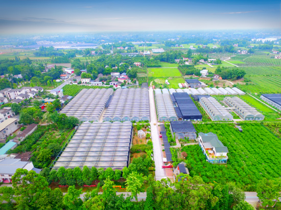 园区视频安防公司：打造一体化全方位智能安全方案